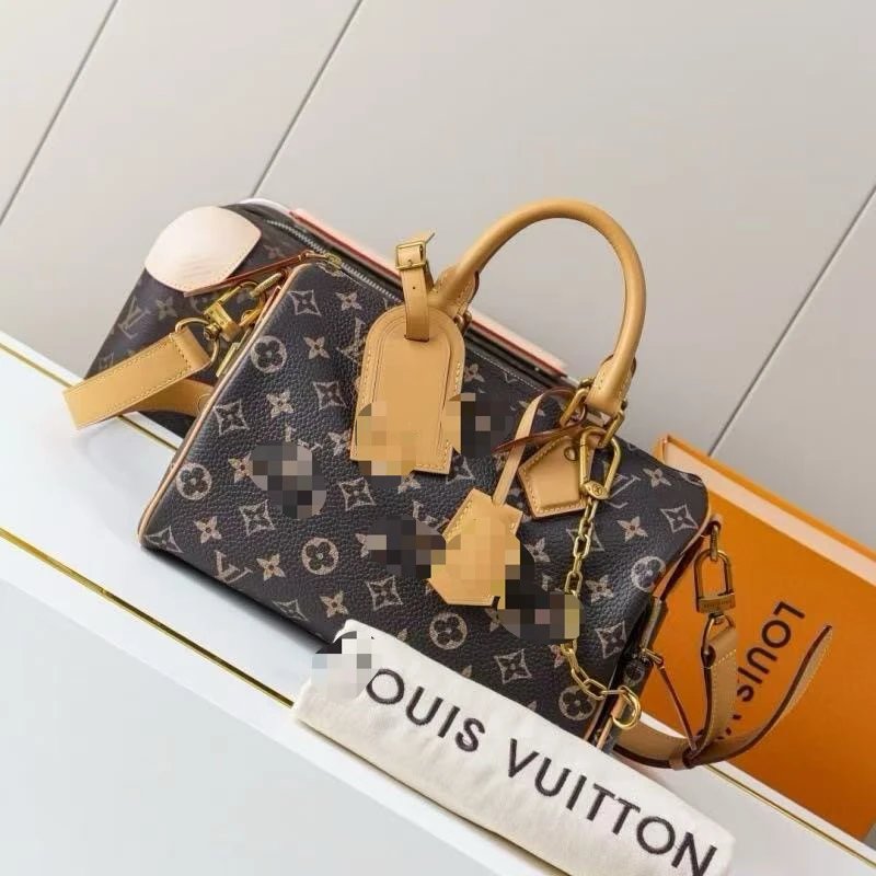Louis Vuitton Handbag