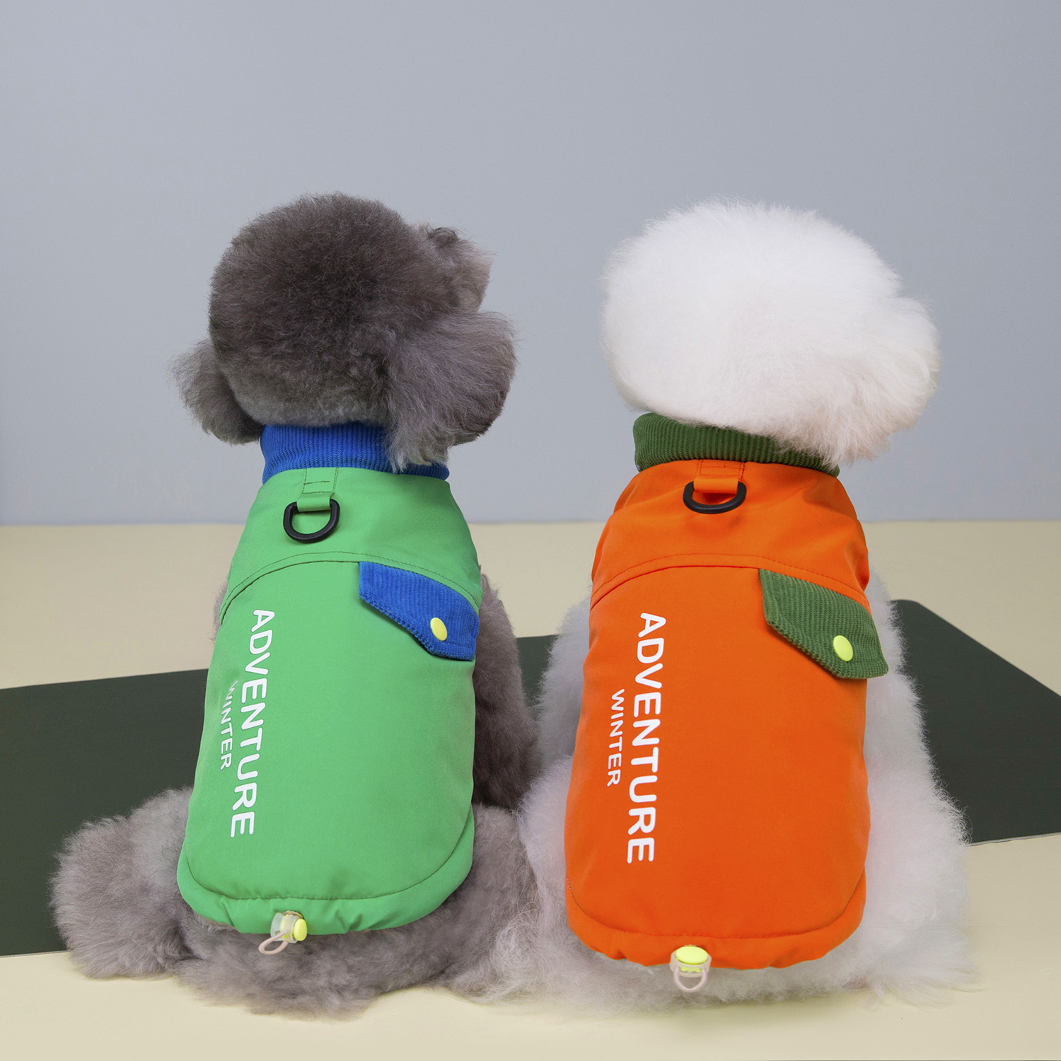 Dog Two-Legged Clothing Autumn and Winter Thickeneded Warm and Cold-Proof Cat Bichon Teddy 25 Three-Color Printed Letter Two-Legged Cotton Coat