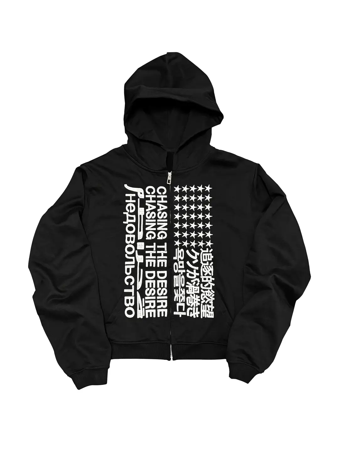 RYE CHASing The Desire Embroidered Zip Hoodie