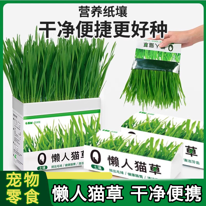 Cat Grass Winter Potted Hair Ball Flakes Lazy Seeds Hair Ball Freeze-Dried Cat Snacks Cat Pet Supplies