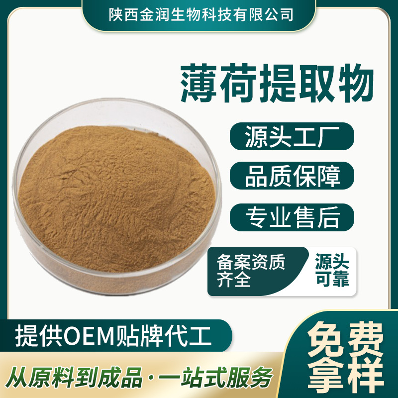 Mint Extract Water-Soluble Mint Extract Technical Support Sample Food Raw Materials Wholesale Spot Manufacturer