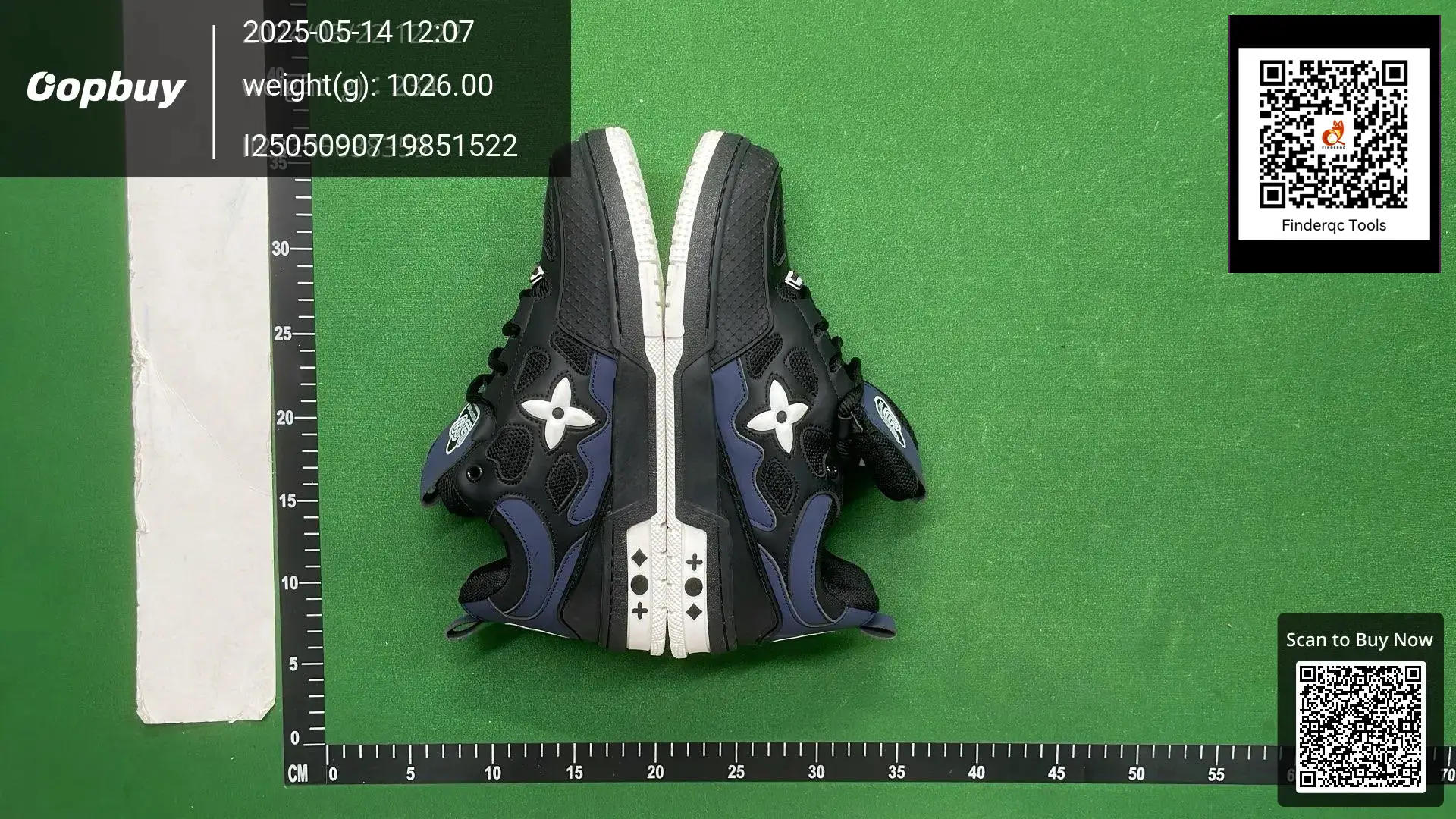 Louis Vuitton LV Trainer Black