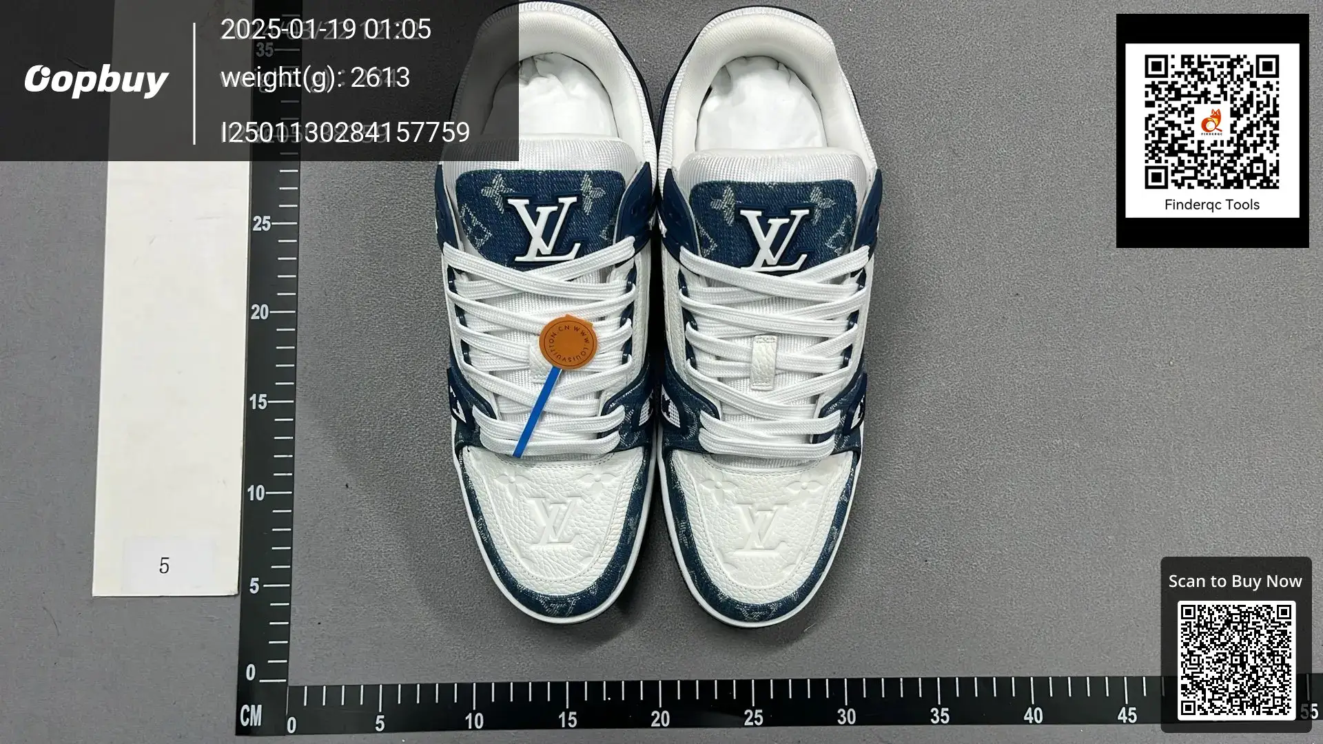Louis Vuitton sneakers white blue