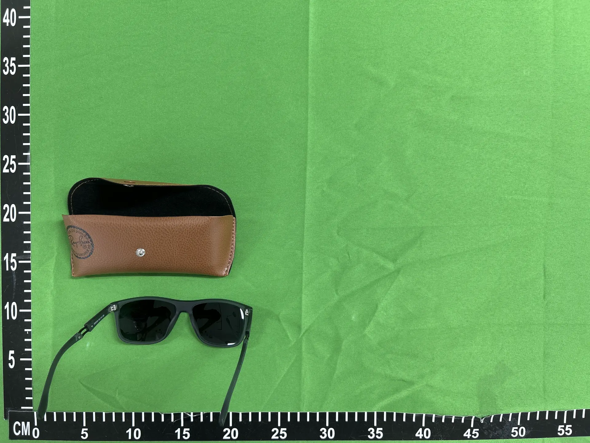 Ray-Ban Wayfarer Sunglasses