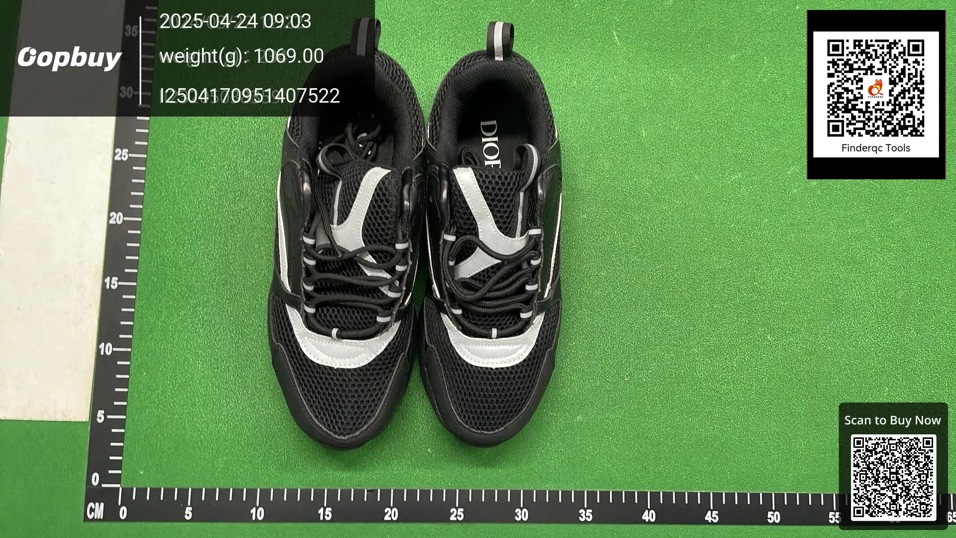 Dior B23 Low Top Sneakers Black