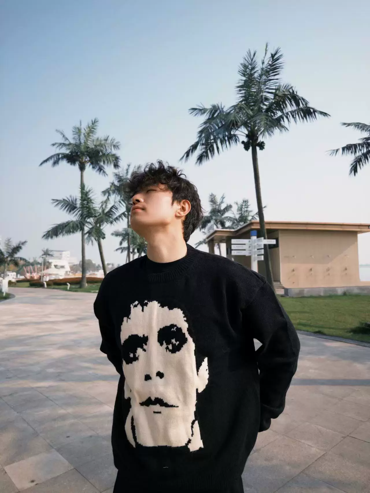 Erd Melancholic Rich Second-Generation Jacquard Wool Sweater Short Design with a Humanistic Touch, Men's Couple Round-Neck Sweater for Autumn and Winter