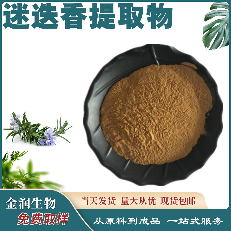 Rosemary Extract Rosemary Powder Ratio Extract Water-Soluble Support Sample Raw Material Wholesale Ready Stock