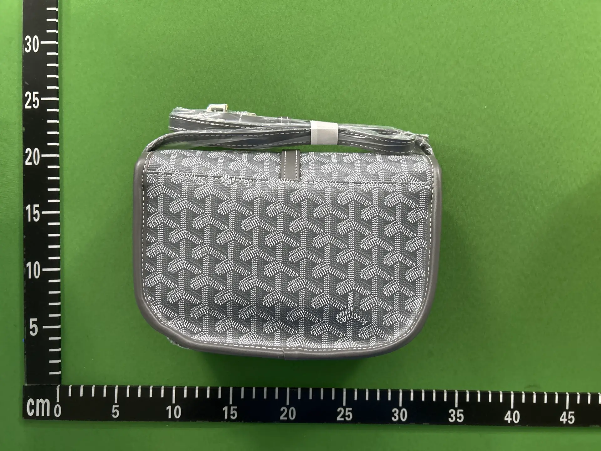 Goyard Saint Louis PM Grey