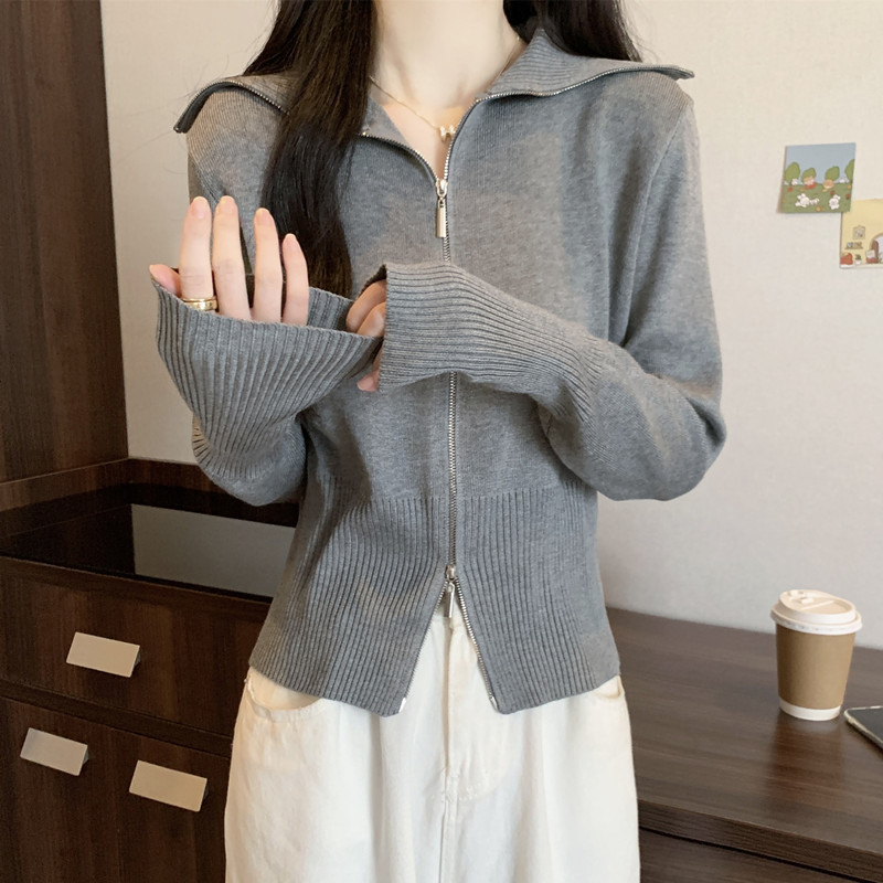 Korean Casual Autumn and Winter New Fashion Slim Short Zipper Long-Sleeved Top Women's Polo Collar Versatile Knitwear