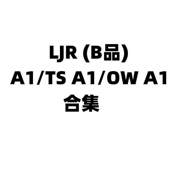 LJR (B品) A1/TS A1/OW A1 (工厂直接配货,人工盘点库存,不保证百分百精准发出) 特价无售后 不退不换 强行退款永久限购