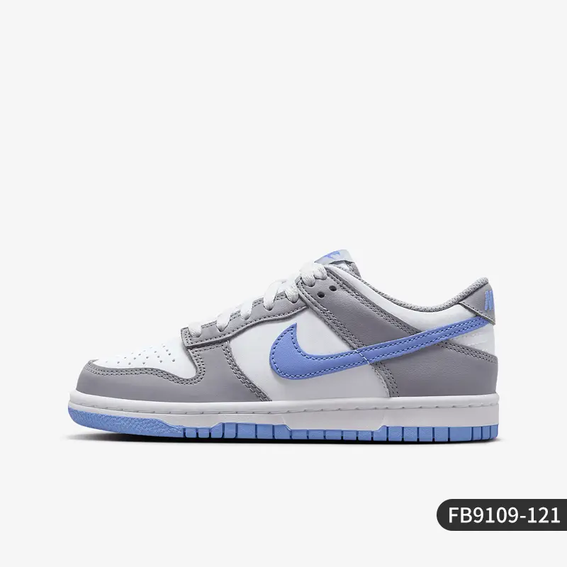 Nike/Nike Official Authentic Dunk Gs Women's Youth Classic Lightweight Casual Sneakers Fb9109-104