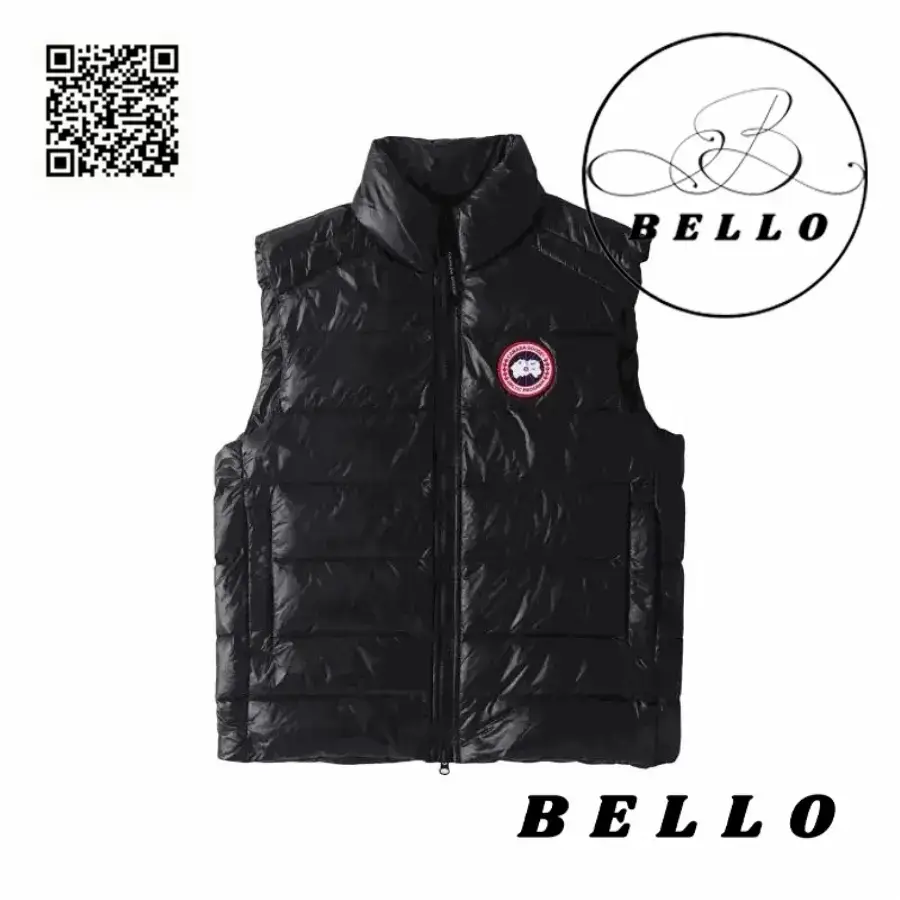大鹅 高品质羽绒服008