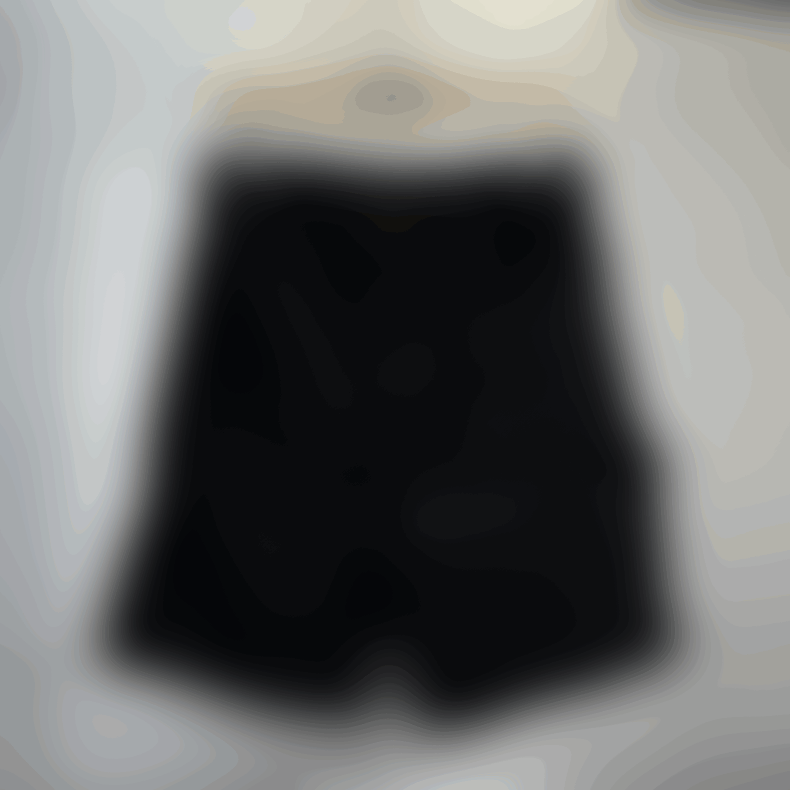 Louis Vuitton Shorts