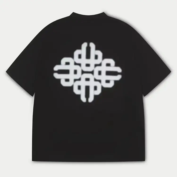 Niche Minimalist Totem Short-Sleeved T-Shirt T2011