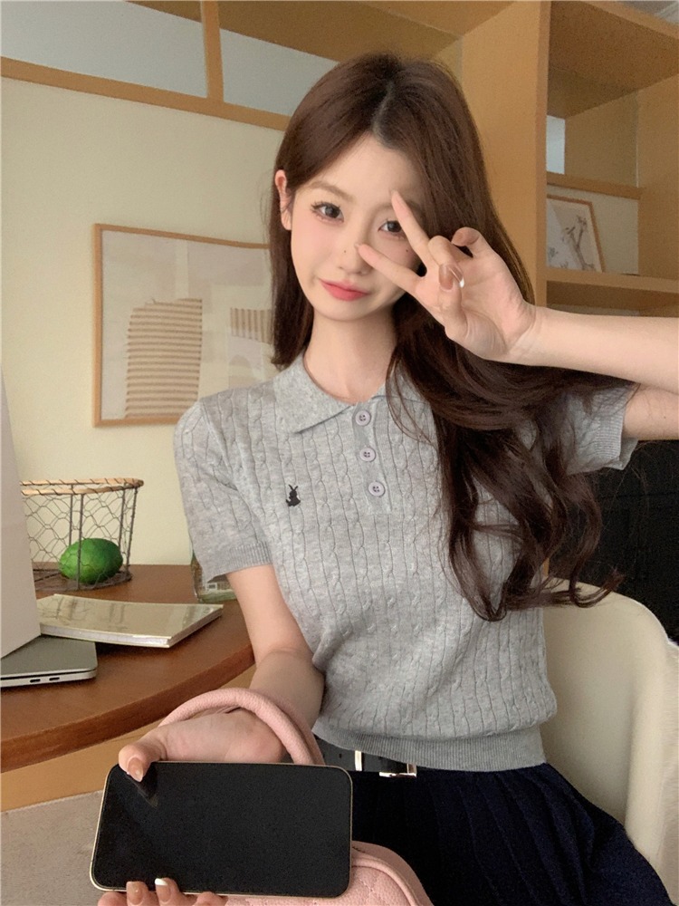 2024 spring new preppy style polo collar embroidered solid color short-sleeved sweater women's twist sweater trendy cross-border