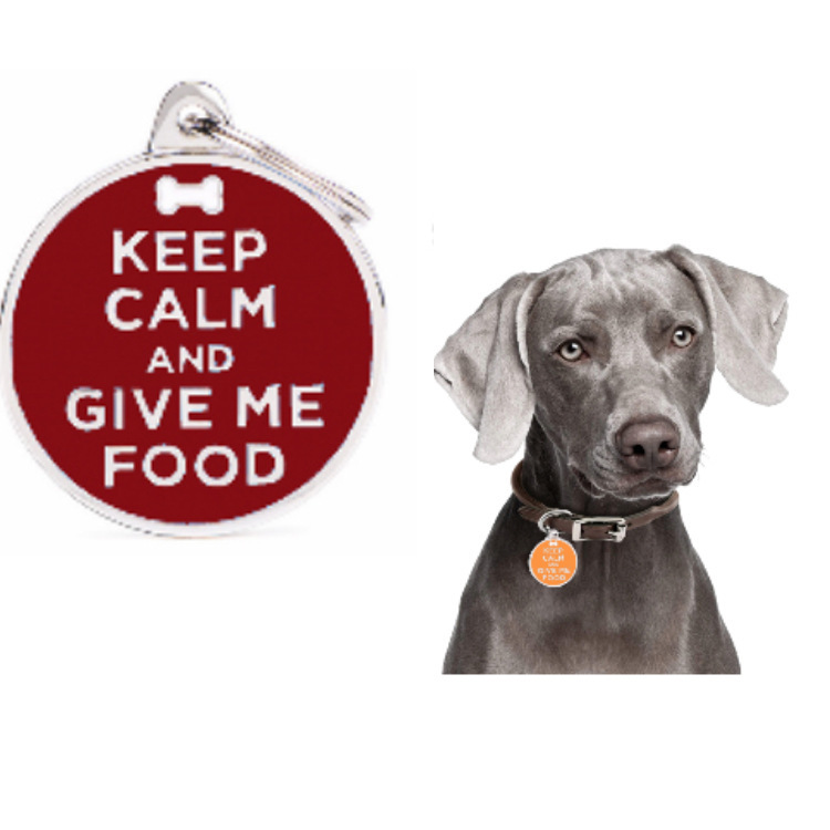 Amazon cross-border new pet dog brand metal dog collar pet cat brand anti-lost tag listed in stock