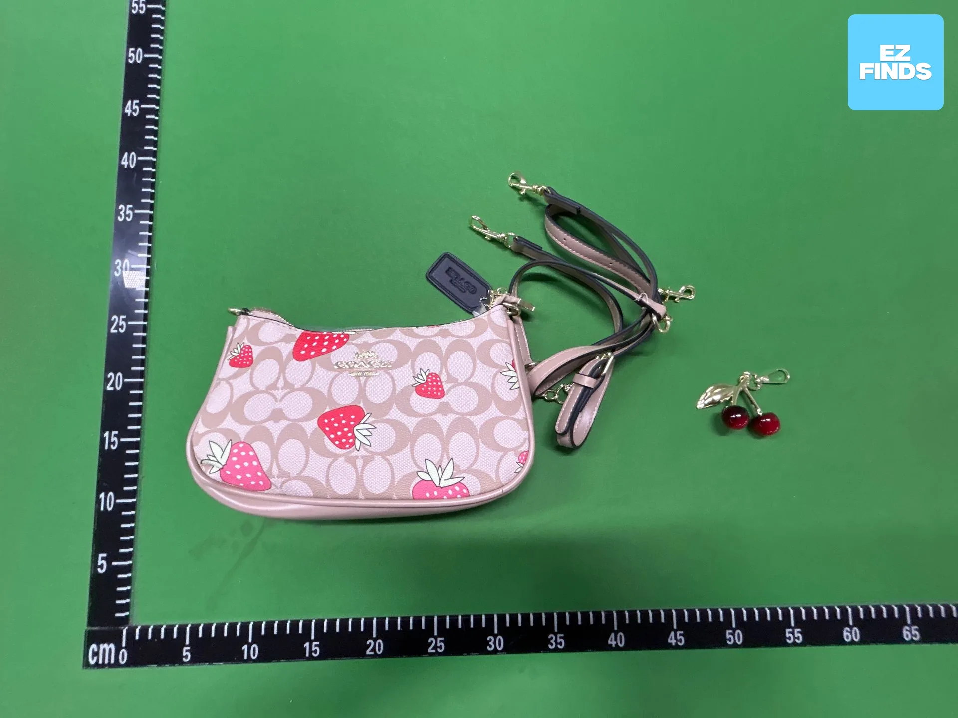Cross-Border Export Wholesale Coah Underarm Bag 2025 New Women's Bag Handbag Chain Printed Shoulder Crossbody Bag photo QC de 1688 sur Qualit.ly QC