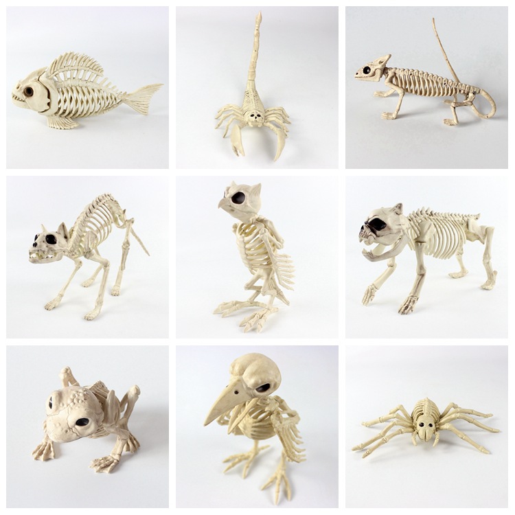 Halloween Horror Skeleton Skeleton Bat Spider Scorpion Mouse Snake Haunted House Layout Props Toad Skeleton