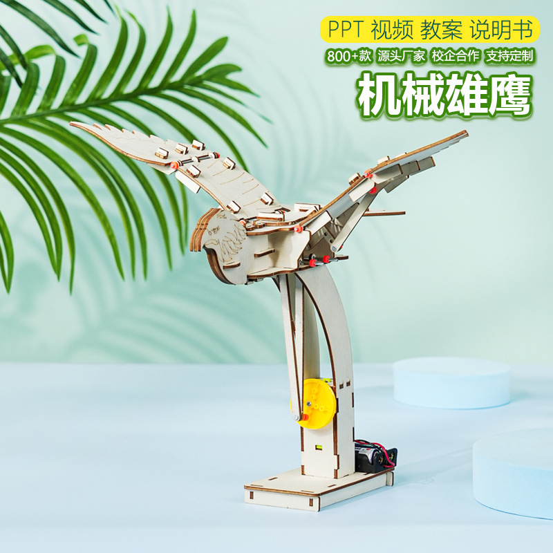 Science and Technology Small Production Electric Mechanical Flying Eagle Wooden Handmade DIY Youth Palace Science Experiment Creative Teaching Aids Materials