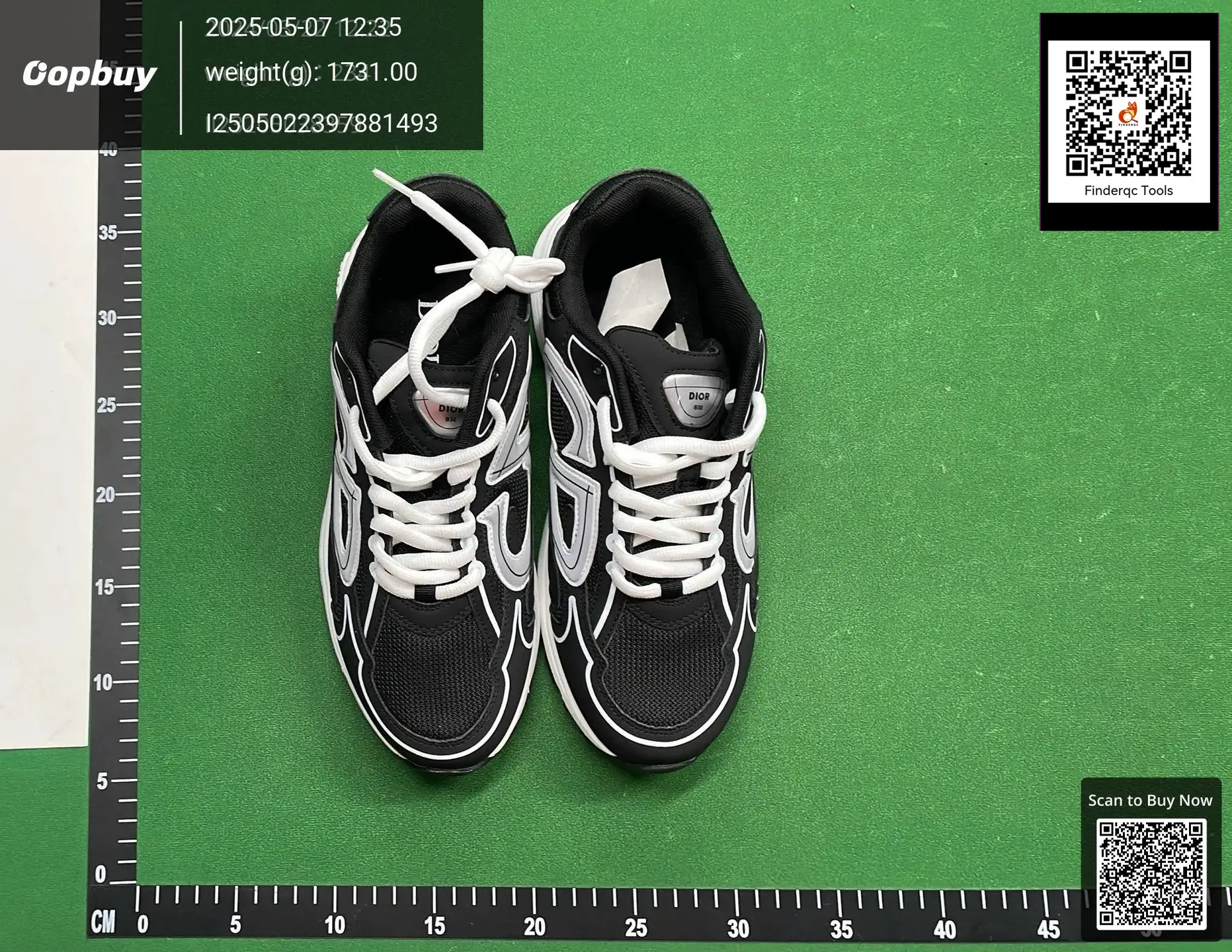 Dior B30 Sneakers Black White