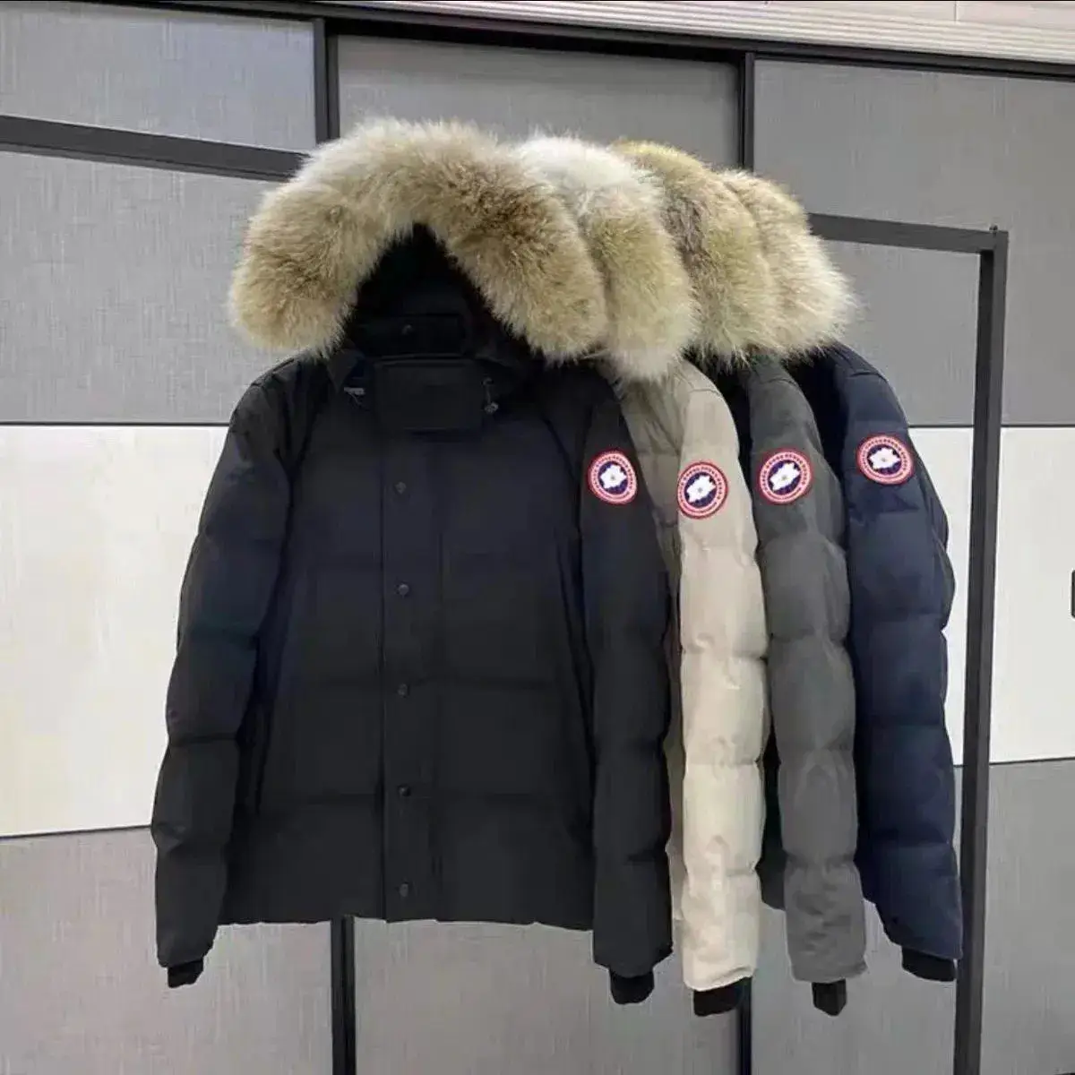Canada Goose Down Jackets