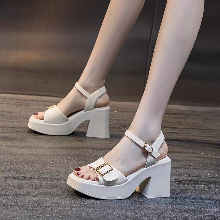 2026 High-Heeled Shoes for Women, Thick-Heeled Waterproof Platform Super High-Heeled Thick-Soled Sandals for Women, Summer Outerwear Women's Shoes That Make Legs Look Longer