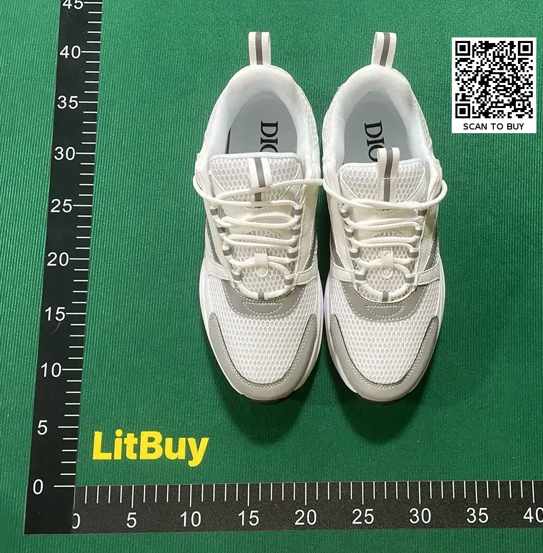 Dior B22 Sneakers White
