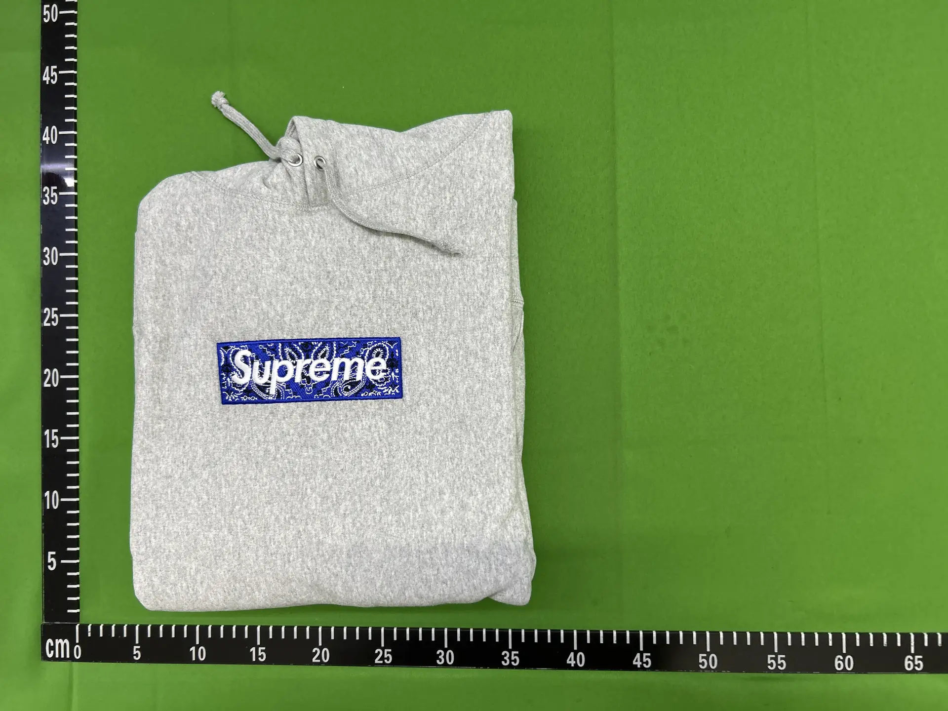 FW hooded sweatshirt 19