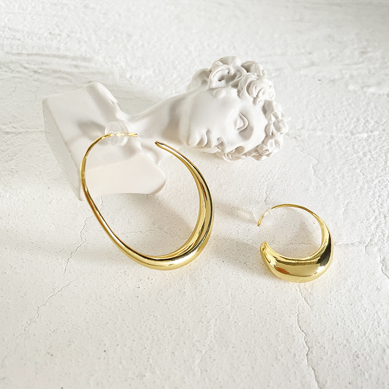 Exaggerated Earrings Women's European and American Ins Metal Earrings Simple Retro Earrings Elegant Earrings New Style
