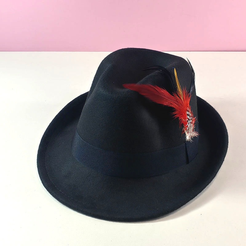 Small Felt Hat with Colorful Feathers, Vintage Gentleman Hat, Jazz Hat, Cross-Border Fashion for Men and Women, New European and American Style, Versatile