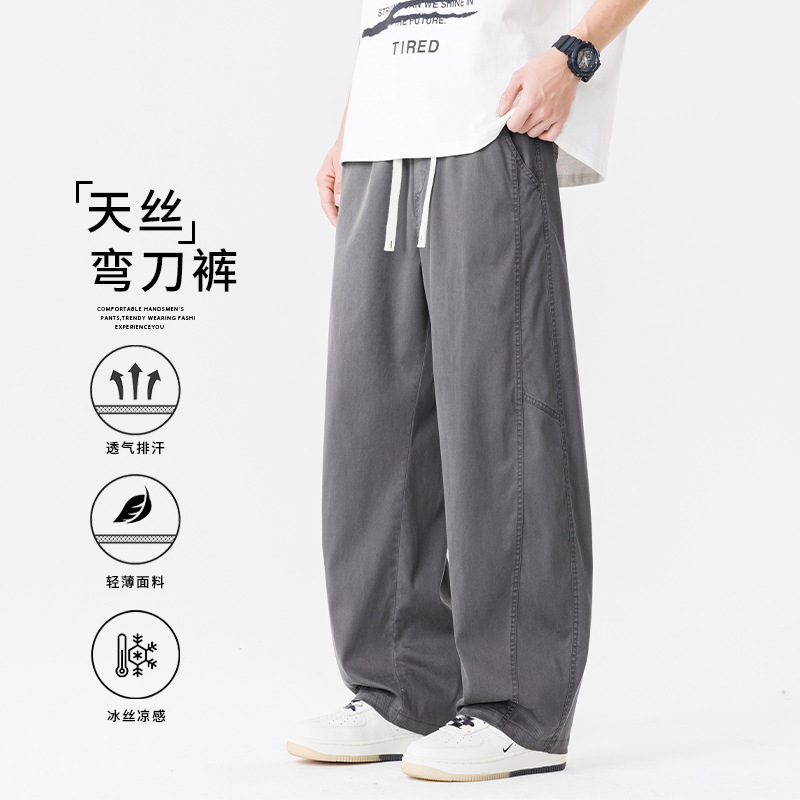 Emperor Paul Straight-Leg Casual Pants for Men, Summer Loose Stylish Thin Versatile Fashion Trousers, Summer Thin Style