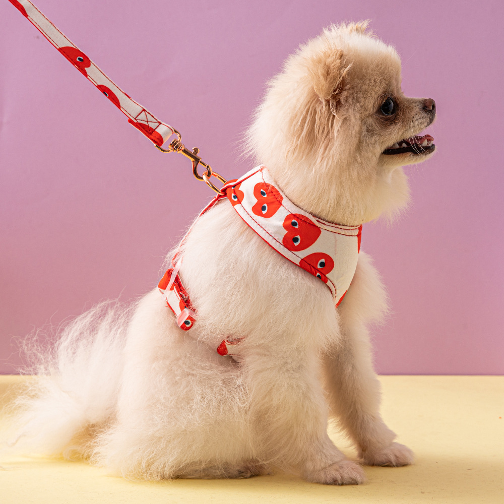 Kawajiu Pet Chest Strap Traction Rope in stock INS Explosions Dog Traction Rope Nice Chest Back Factory Outlet