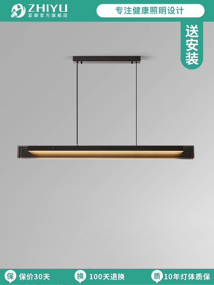 LED Light Fixture with Mounting Hardware
