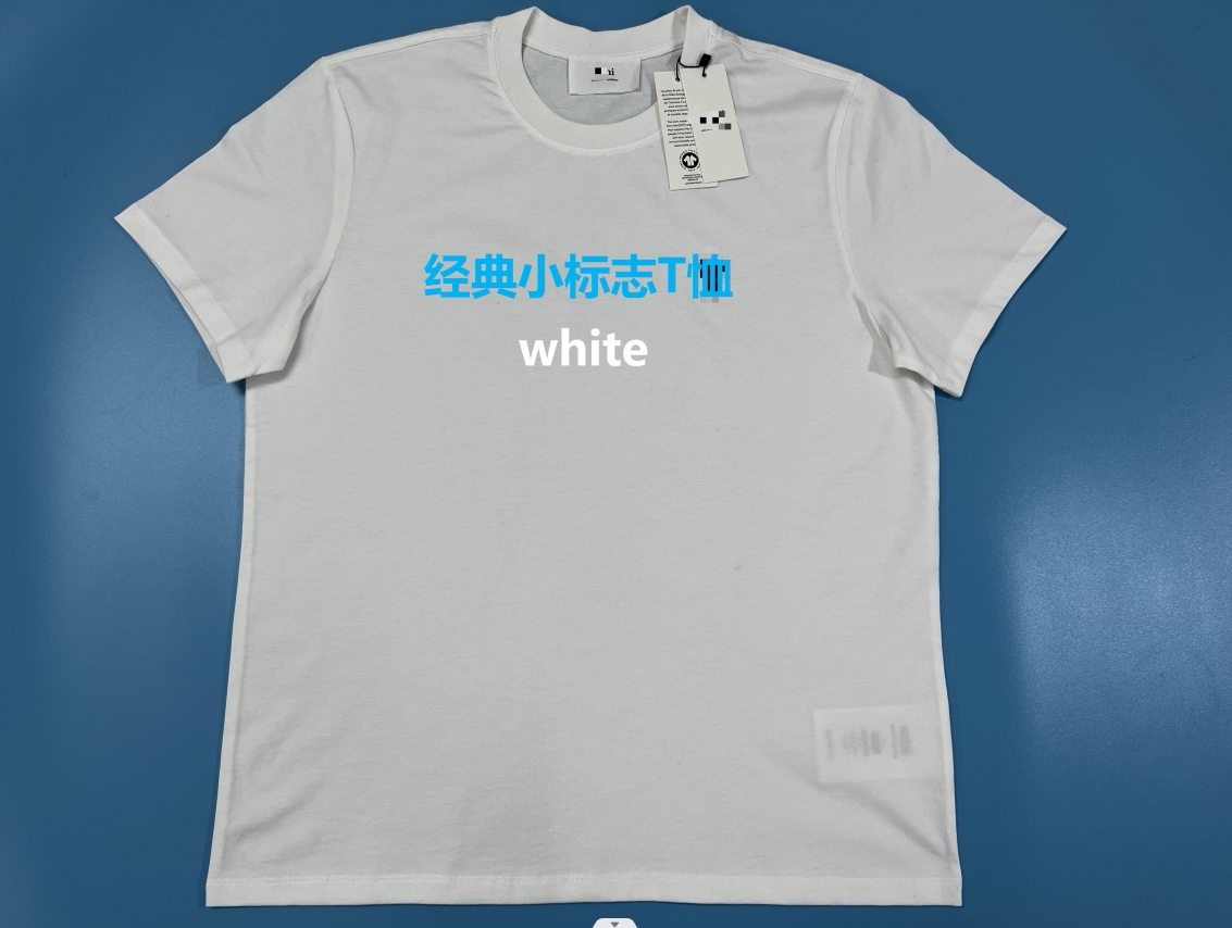 ami alexandre mattiussi T-Shirt