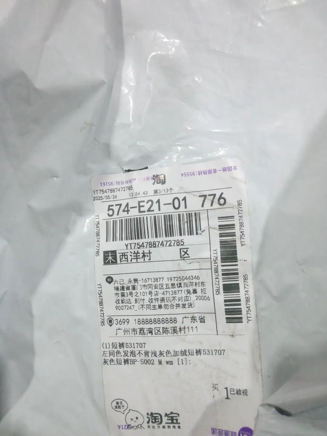 Shorts 531707