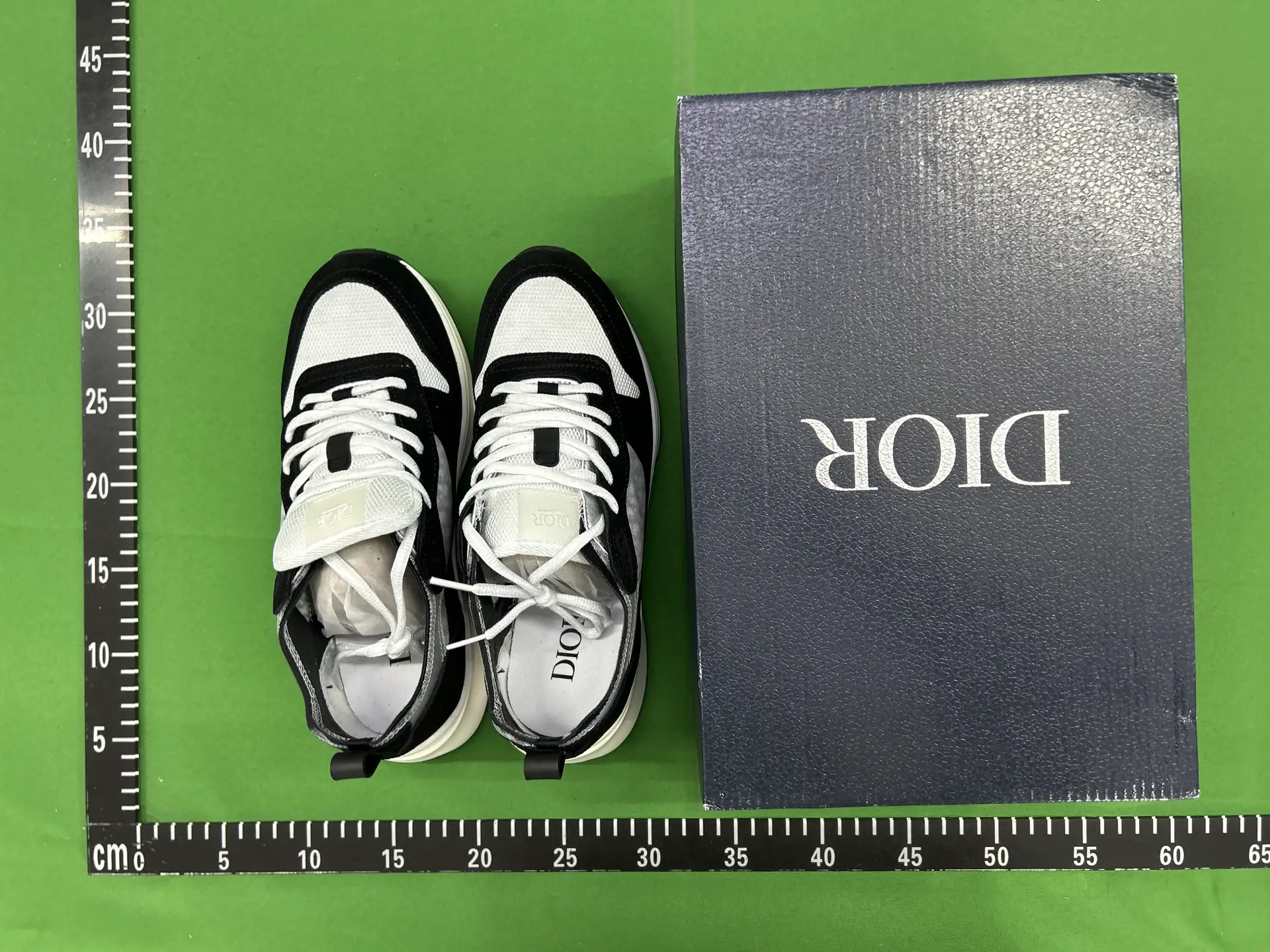 Dior B23 Sneakers Black White
