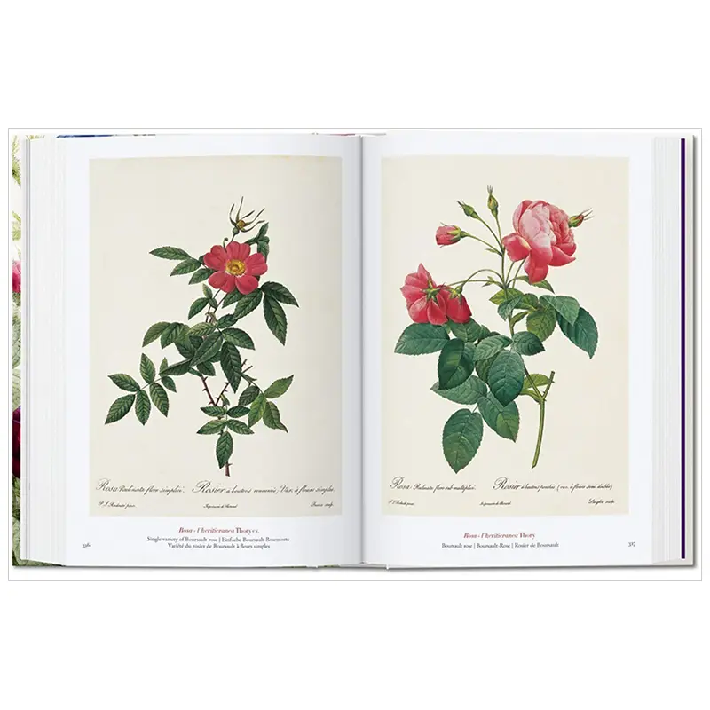 The Book of Flowers of Redud - Taschen 40Th Anniversary Edition Can Be Photographed in Multiple Volumes of English Illustrations and Original Painting Settings Set Import Original Foreign Edition Hardcover [40Th Anniversary Edition] Redo