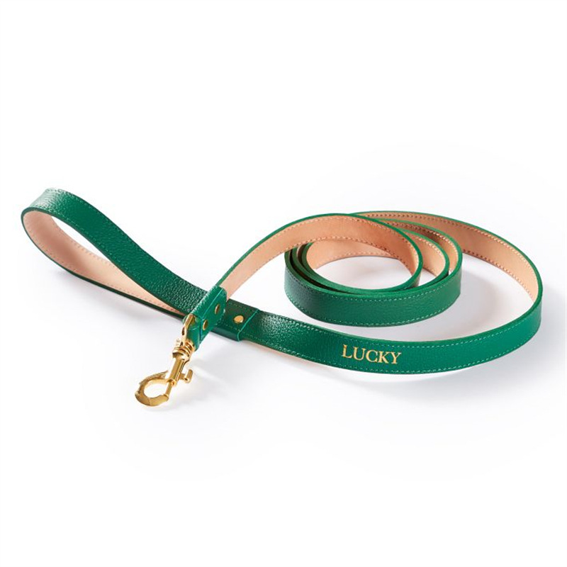 Lined leather dog leash medium and large dog leash dog walking rope horse dog German Mu gold fur leash