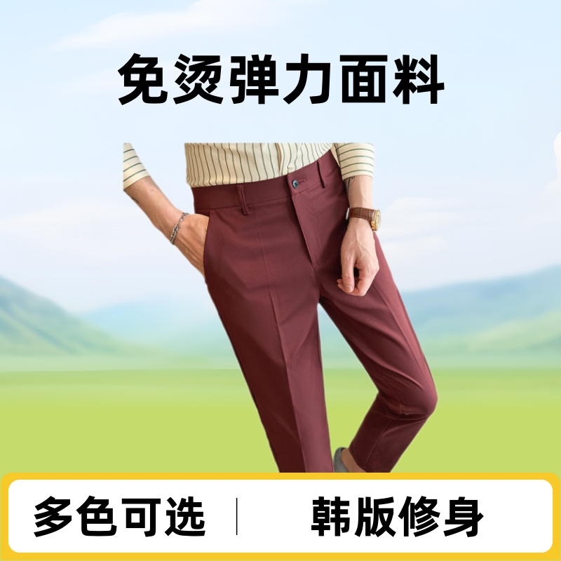 Nine-Point Trousers Men's Business Casual Trousers Youth Spring and Summer Korean Style Slim Stretch Suit Trousers Professional Formal Wear