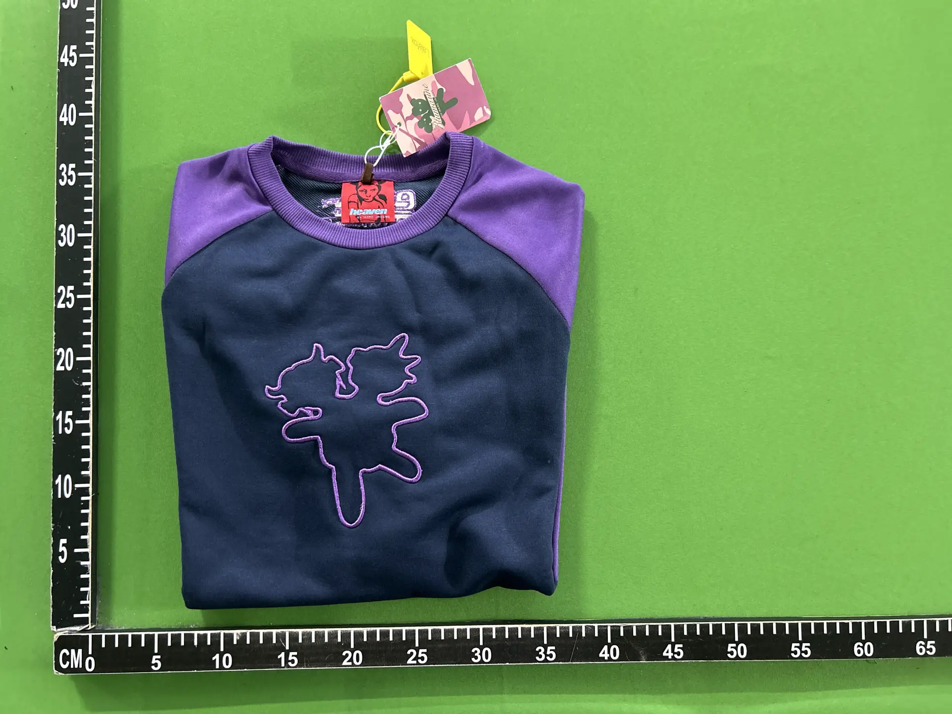 Double-Headed Bear Family 2025 Spring New American Retro Color-Block Raglan Sleeve Embroidered Long-Sleeve Unisex T-Shirt