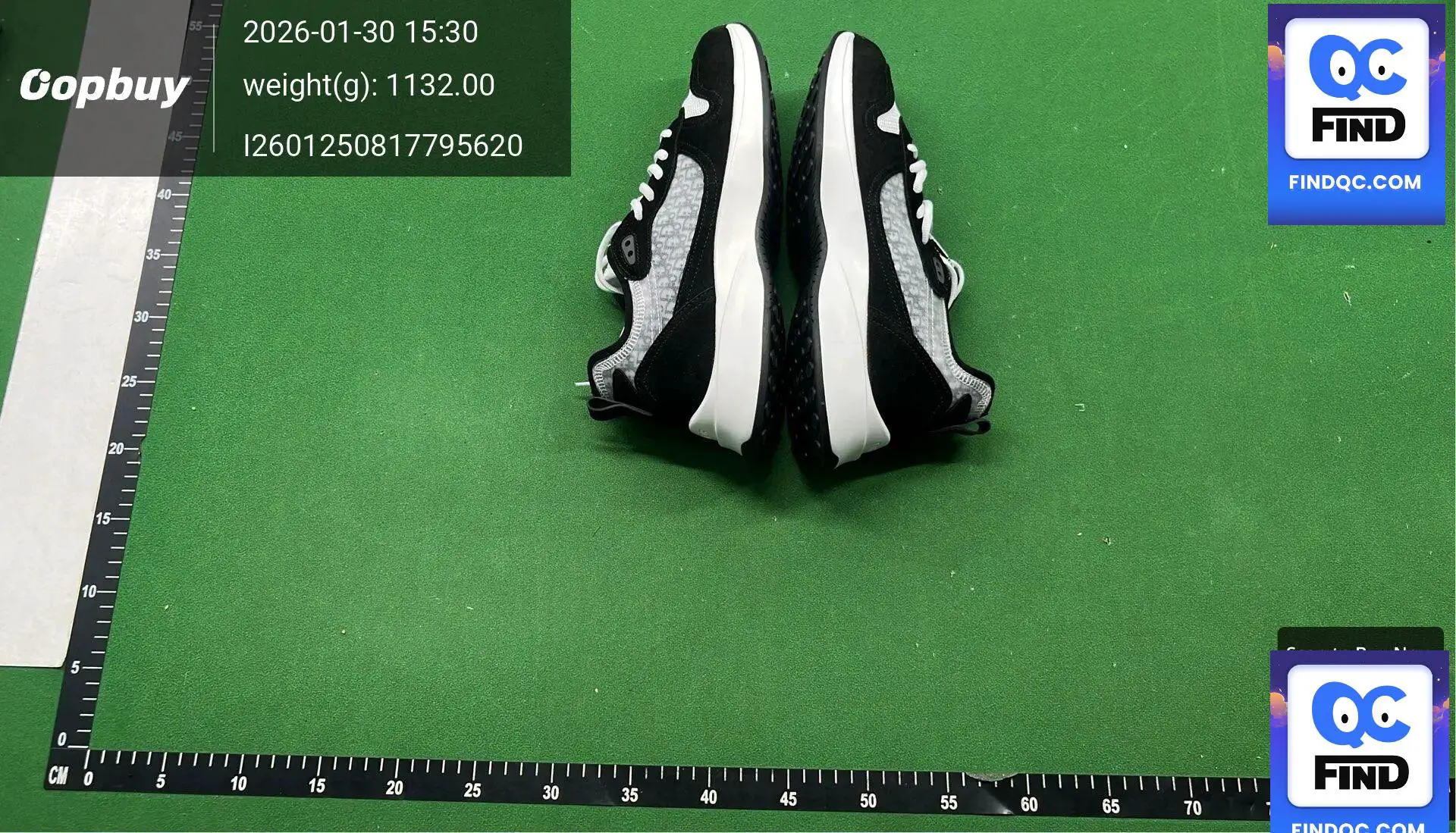 Dior B22 Sneakers Black White