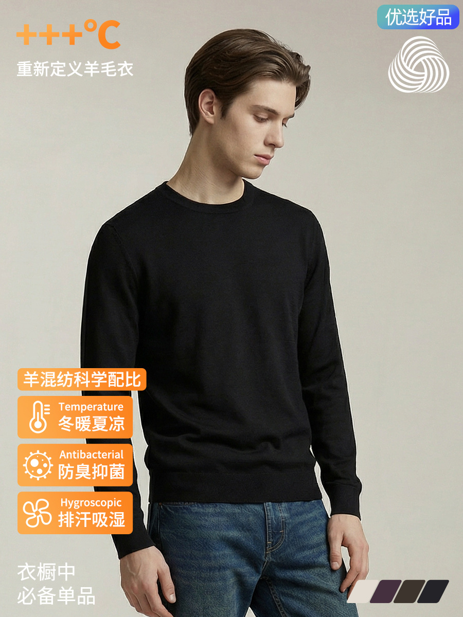 【Carefully Selected Goods】Merino Wool Solid Color Old Money Style Crew Neck Sweatshirt Antibacterial Knitted Wool Men's Top