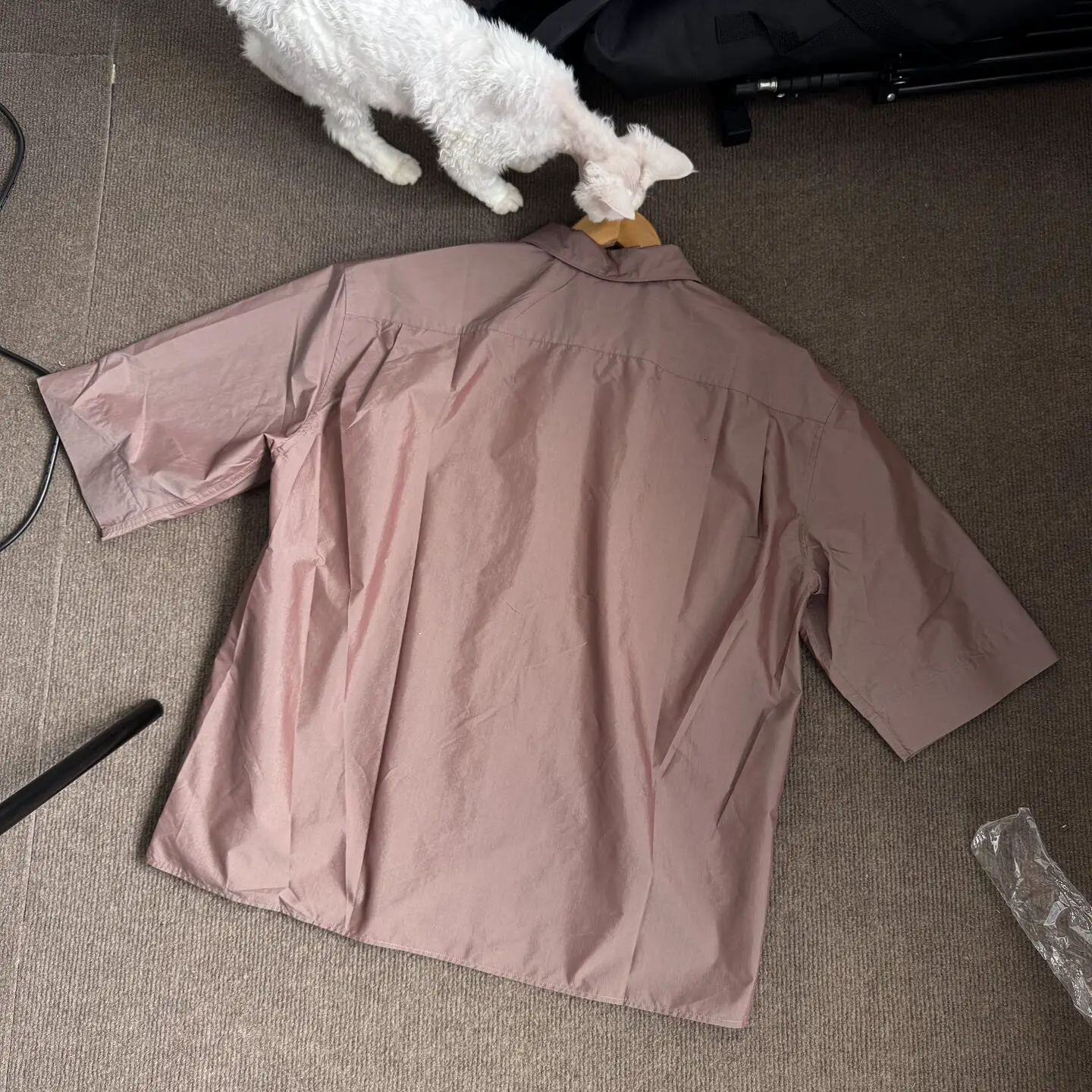 (in Stock) Lema Style 20Ss Double-Dyed and Calendered Process Bean Paste Color Shirt