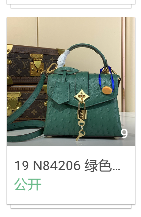 19 N84206 绿色(鸵鸟纹)