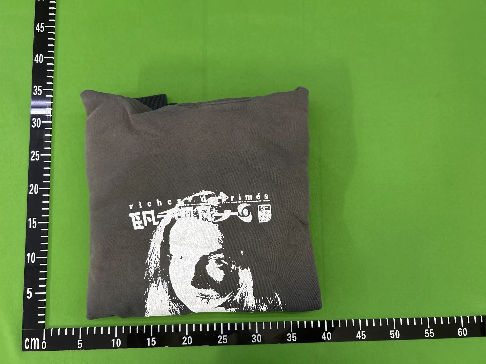Riches et Primes Hoodie Grey