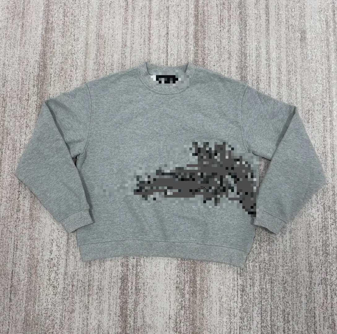 Dragon Gray Sweatshirt Set