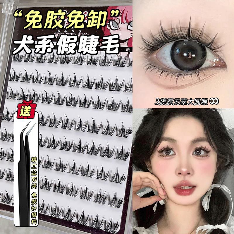 Dog dog eye! Gel-free dog with false eyelashes innocent big eyes on the mirror natural false makeup daily curling self-adhesive