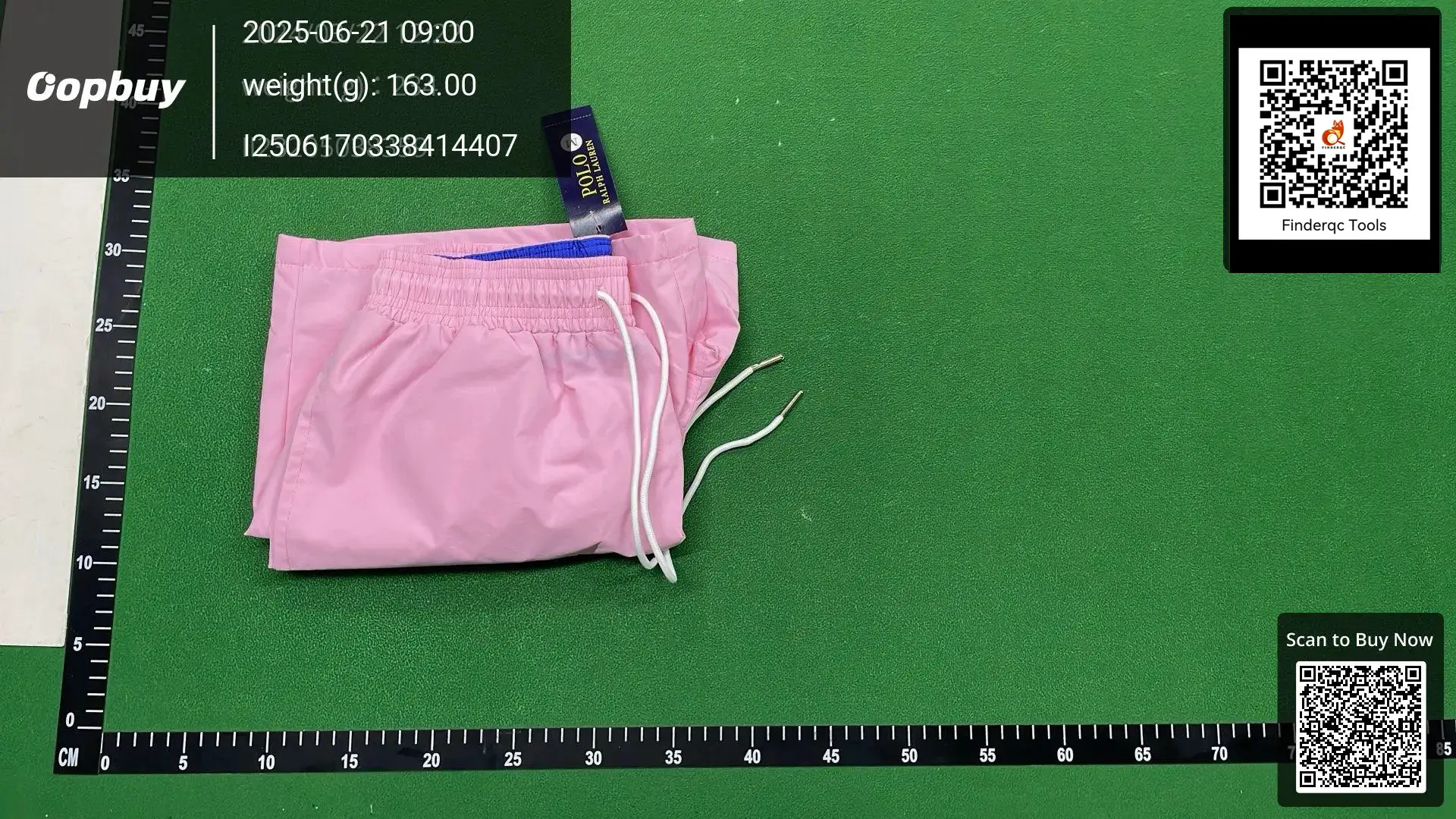 Polo Ralph Lauren Pink Swim Shorts