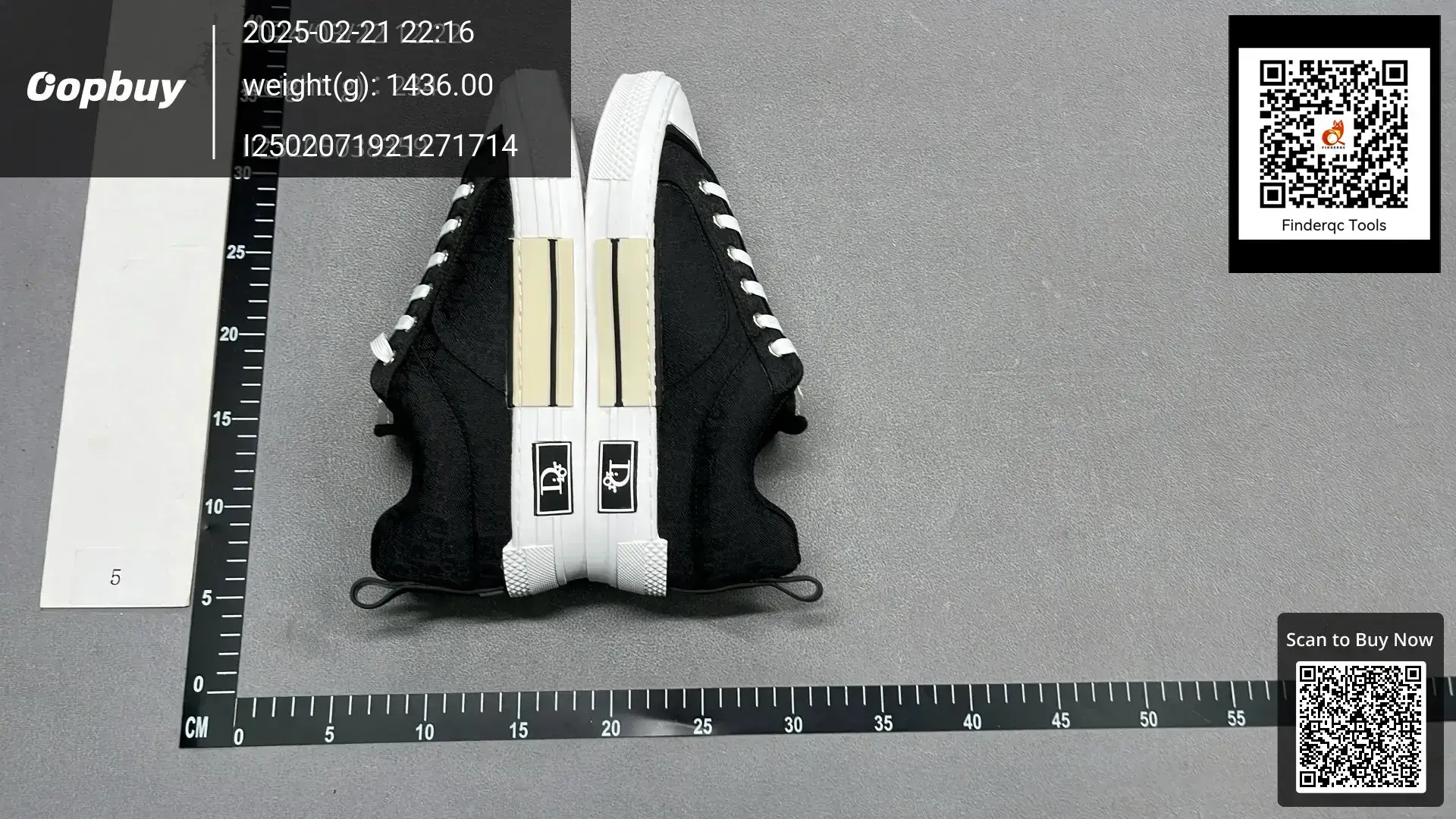 Dior B23 low-top sneakers black canvas