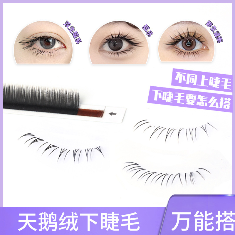 Cartoon single-piece multi-piece eyelash grafting eyelash shop special single eyelash Net red Thai-style eyelash